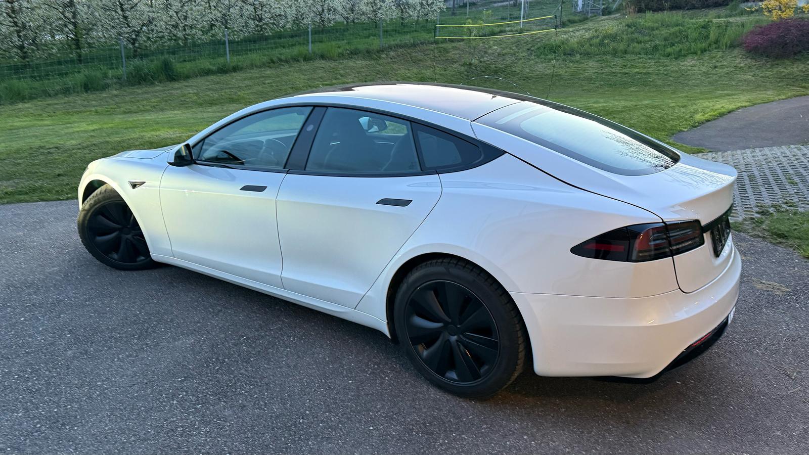 Tesla S 100 Palladium — photo 4