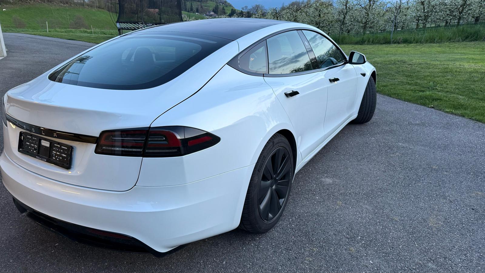 Tesla S 100 Palladium — photo 6