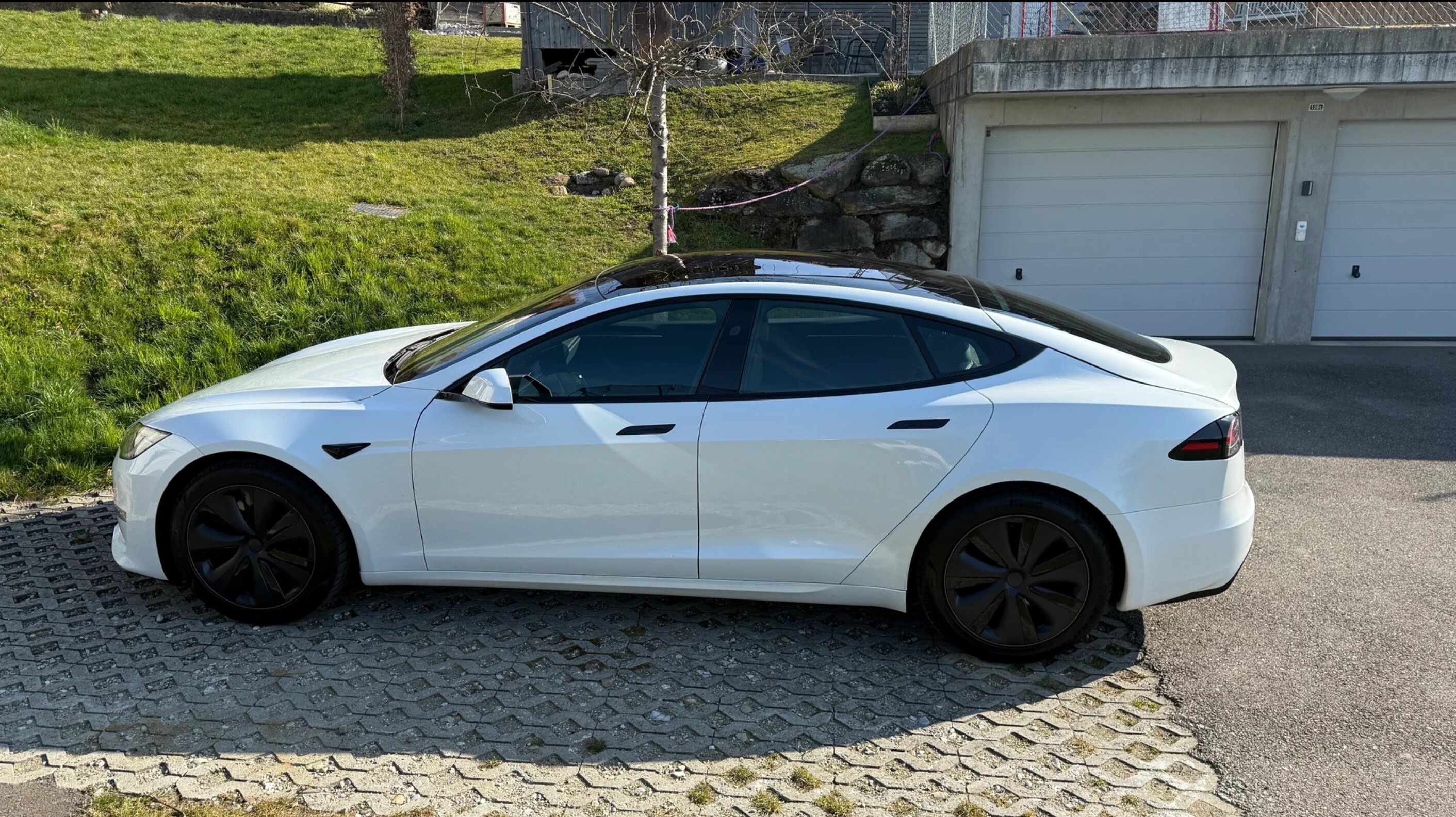 Tesla S 100 Palladium — photo 8