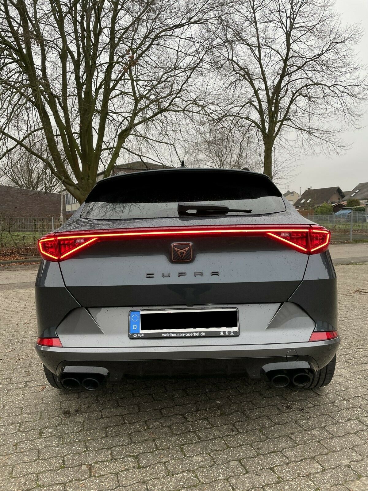 Cupra Formentor VZ 2.0 TSI 4Drive — photo 4