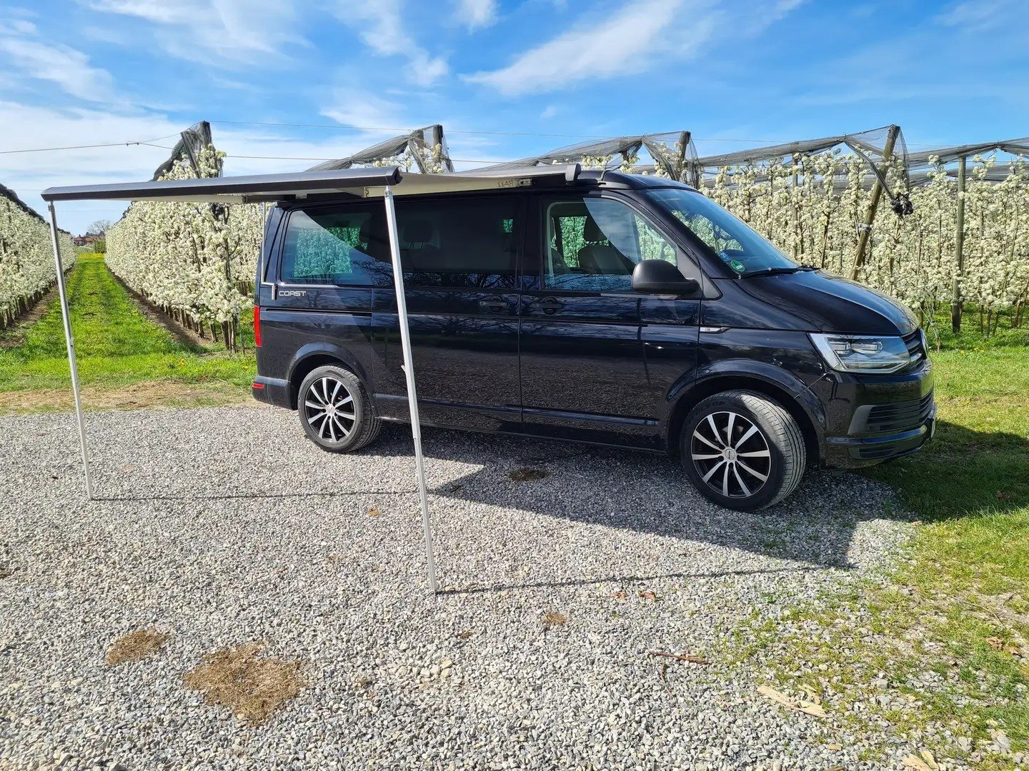 Veicolo #10120 - Volkswagen T6 California Coast DSG Bear-Lock 9