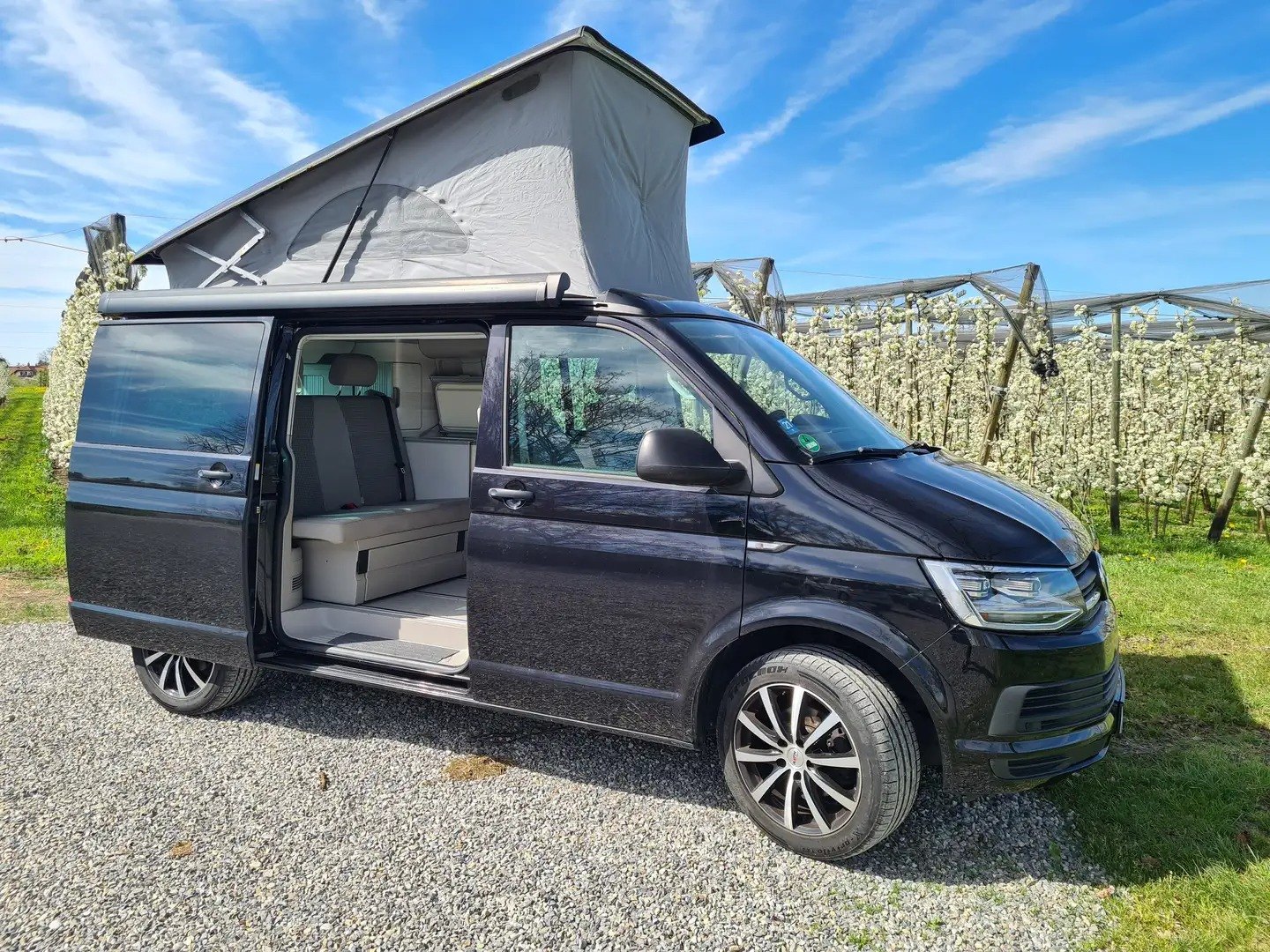 Veicolo #10120 - Volkswagen T6 California Coast DSG Bear-Lock 8