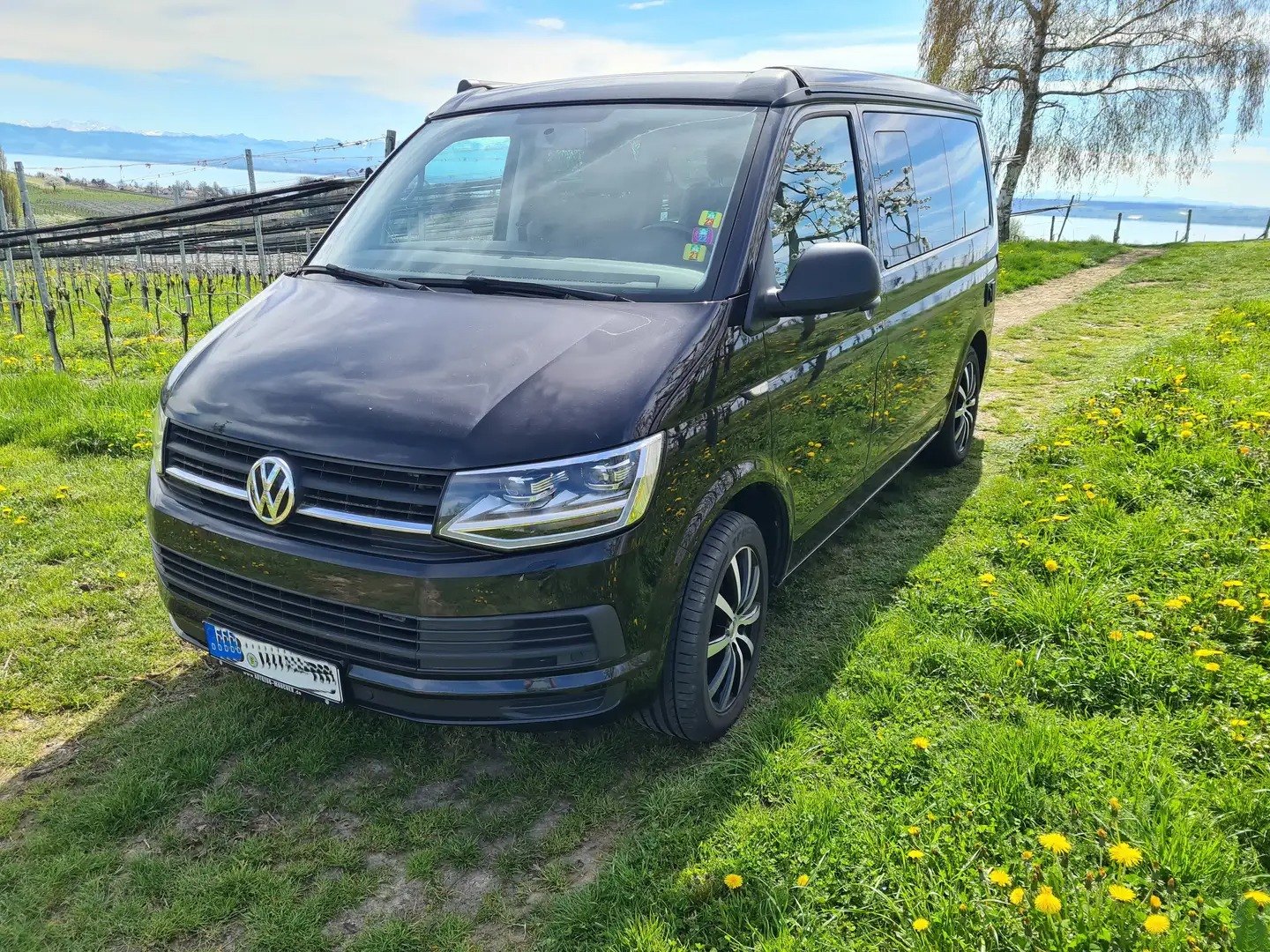 Veicolo #10120 - Volkswagen T6 California Coast DSG Bear-Lock 4