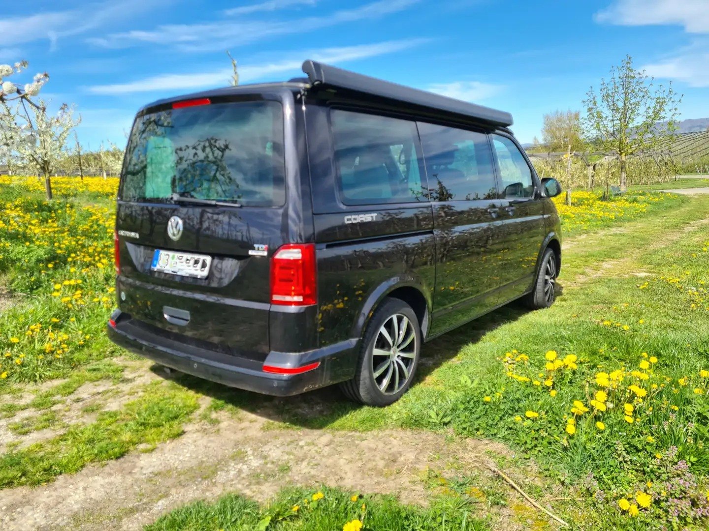 Veicolo #10120 - Volkswagen T6 California Coast DSG Bear-Lock 2