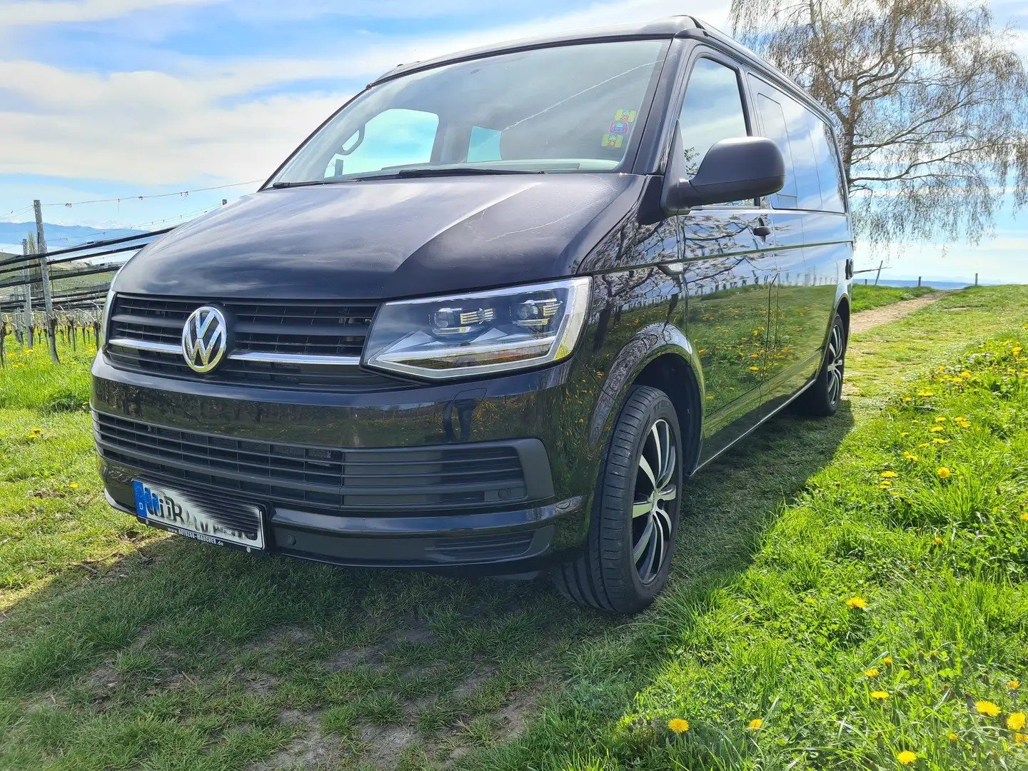 Veicolo #10120 - Volkswagen T6 California Coast DSG Bear-Lock 5